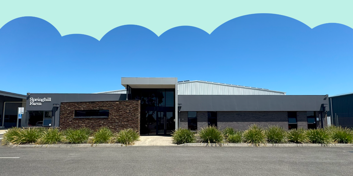 40 Years of Sweet Success: The Springhill Farm Story