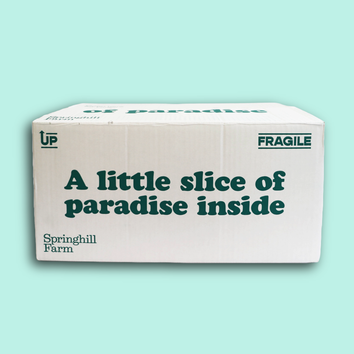 Sample Box Packaging